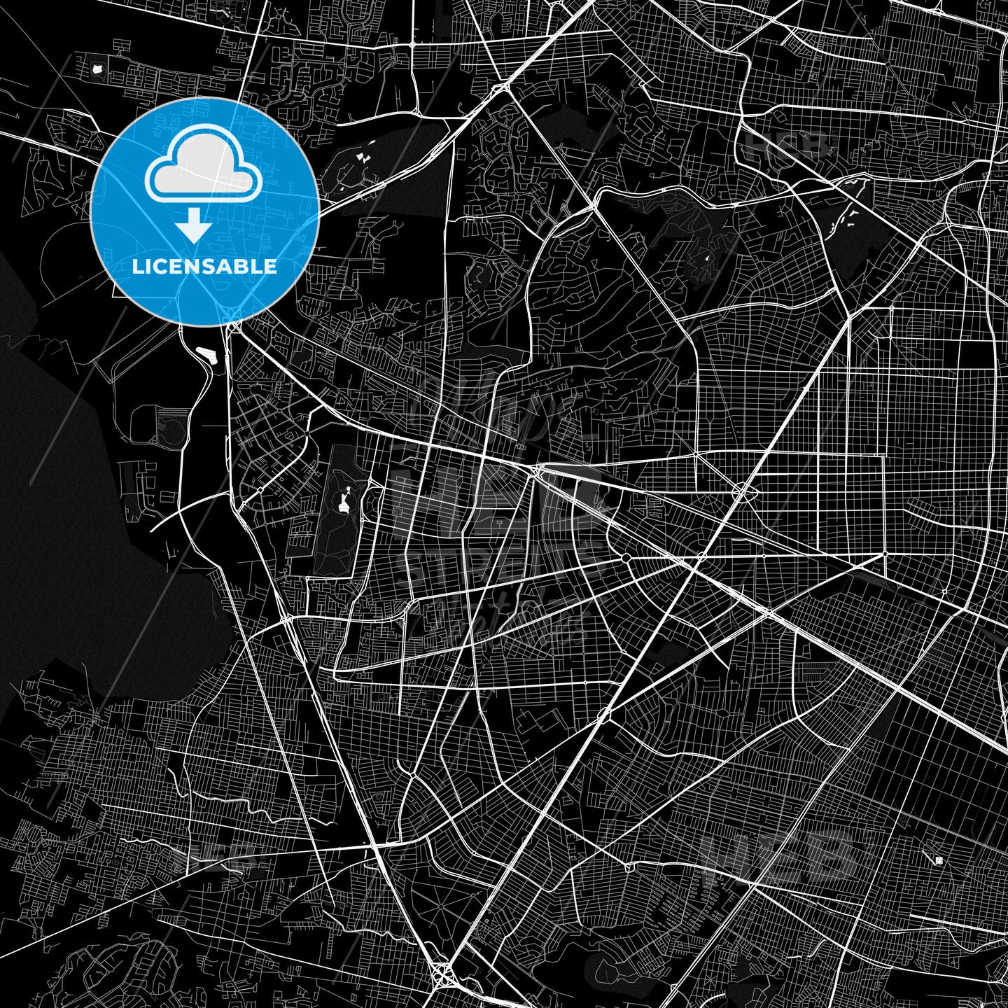 Zapopan, Mexico PDF map
