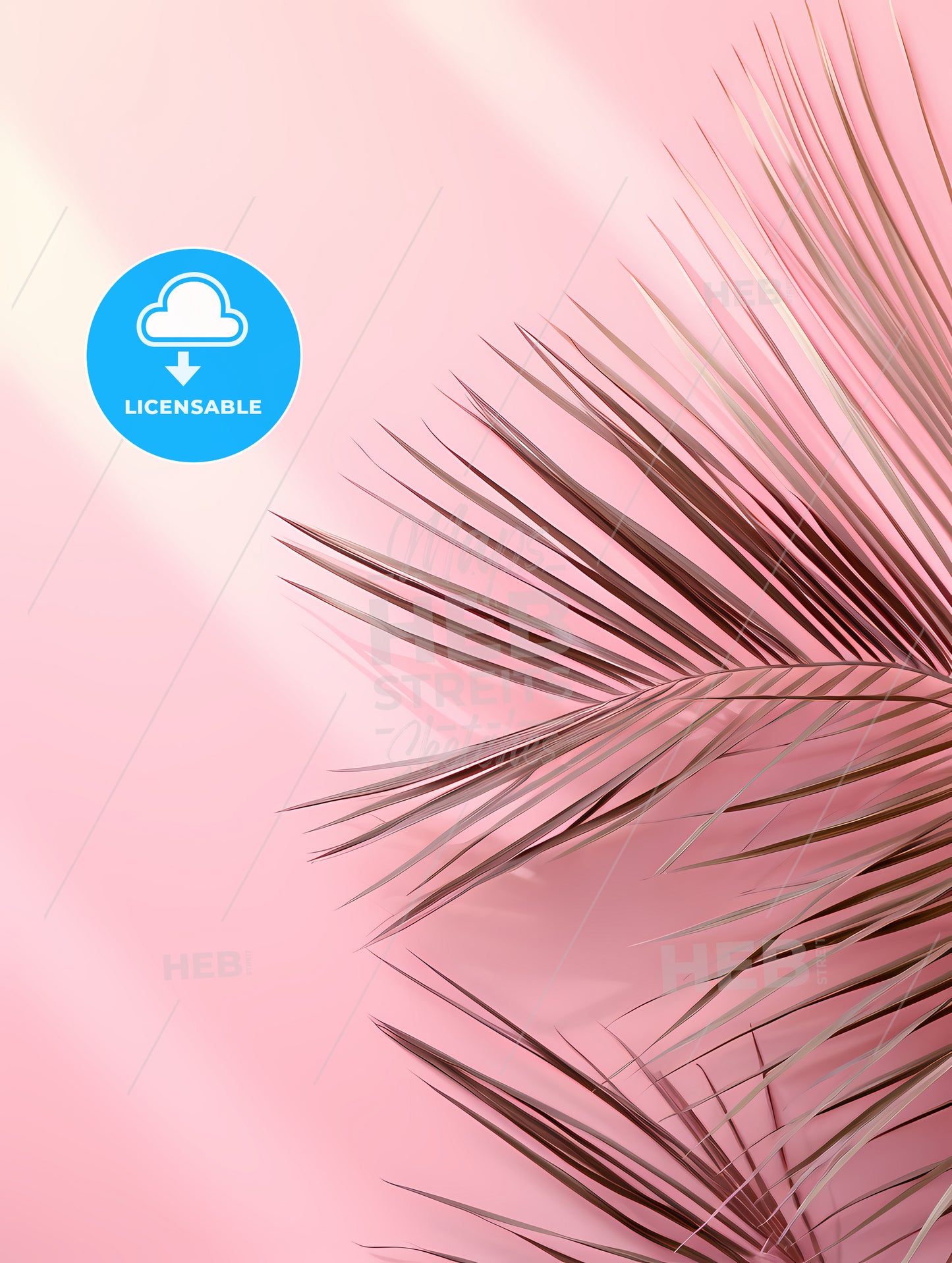 A Close Up Of A Leaf