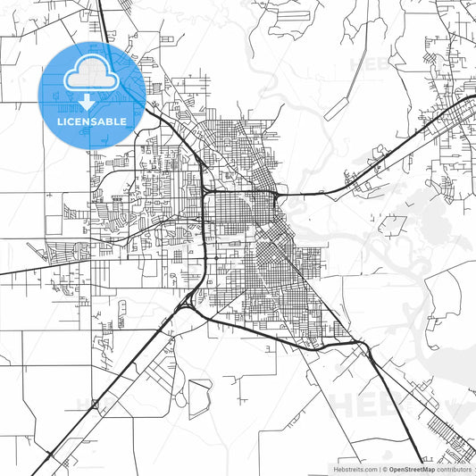 Beaumont, Texas - Area Map - Light