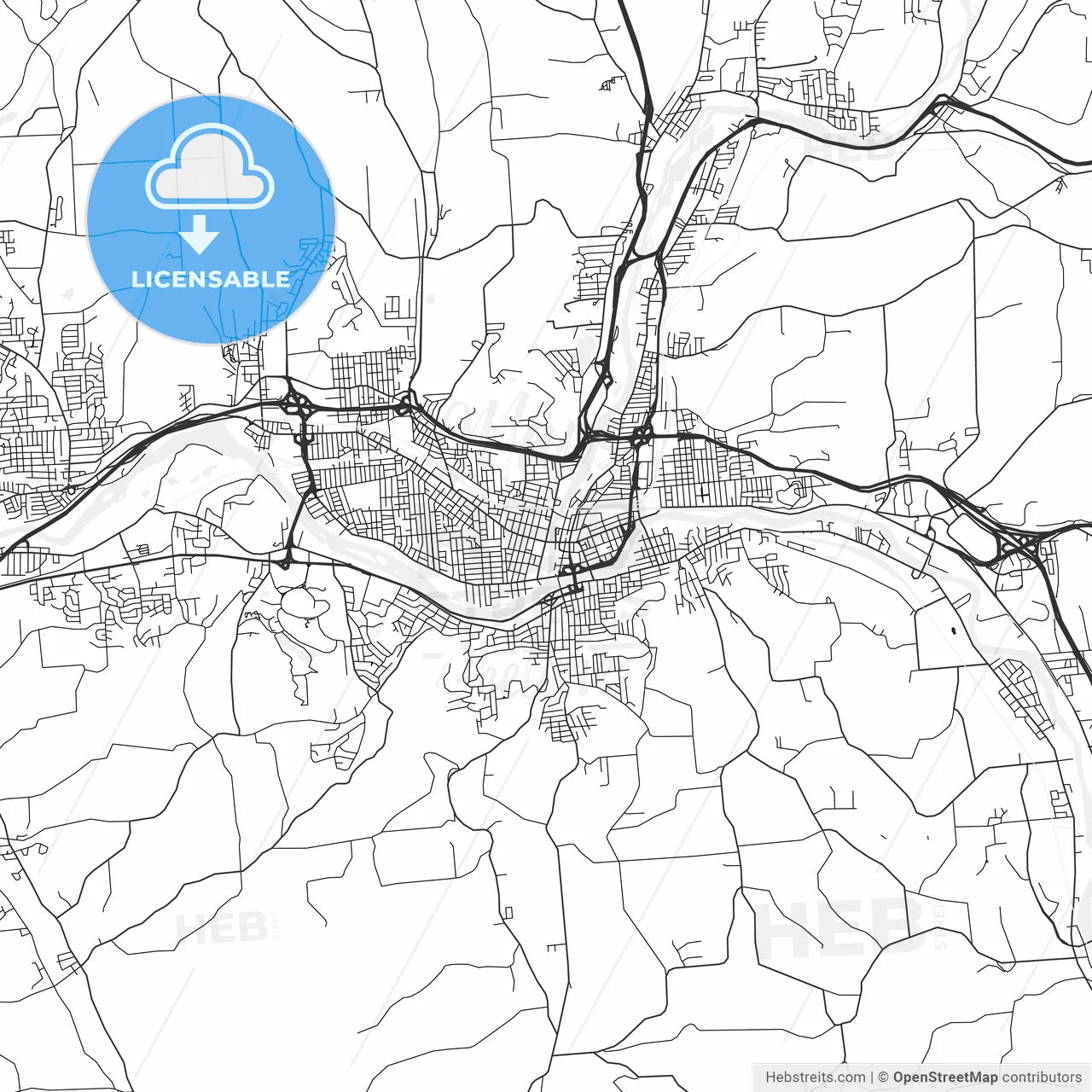 Binghamton, New York - Area Map - Light
