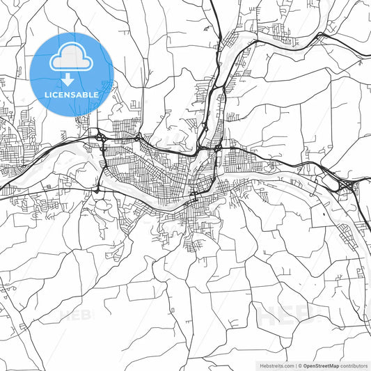Binghamton, New York - Area Map - Light