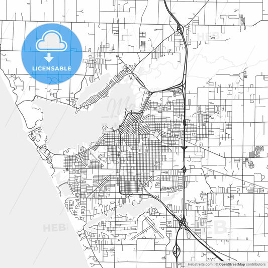 Muskegon, Michigan - Area Map - Light
