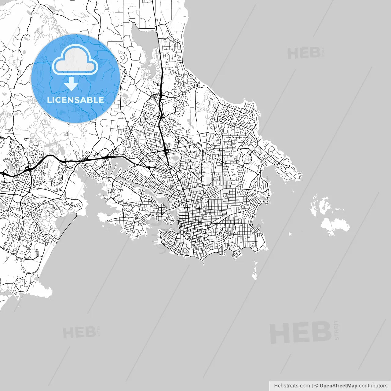 Victoria, British Columbia, Downtown City Map, Light