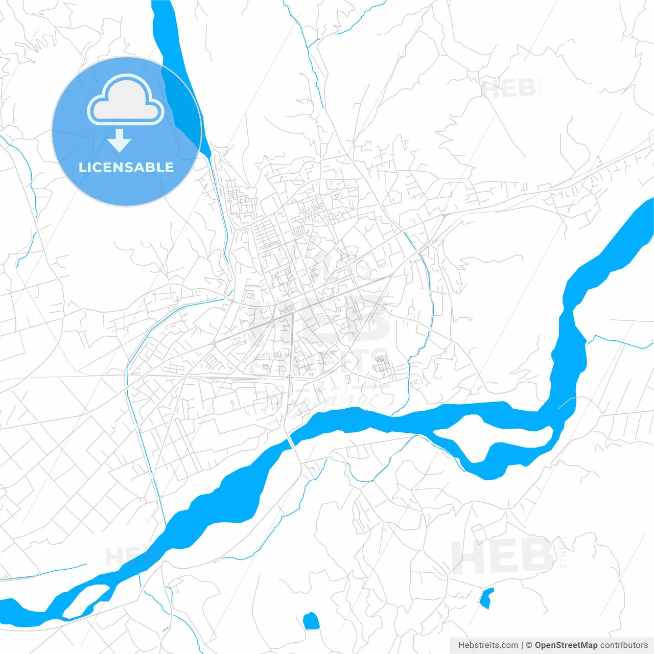 Elbasan, Albania bright two-toned vector map