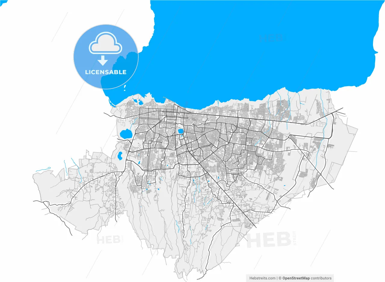 Managua, Managua, Nicaragua, high resolution vector map - Instant download PDF and JPG