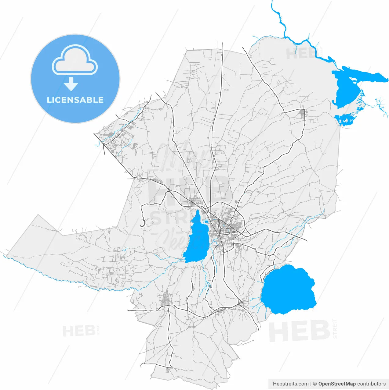 Masaya, Masaya, Nicaragua, high resolution vector map - Instant download PDF and JPG