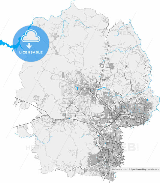Zapopan, Jalisco, Mexico, high resolution vector map - Instant download PDF and JPG
