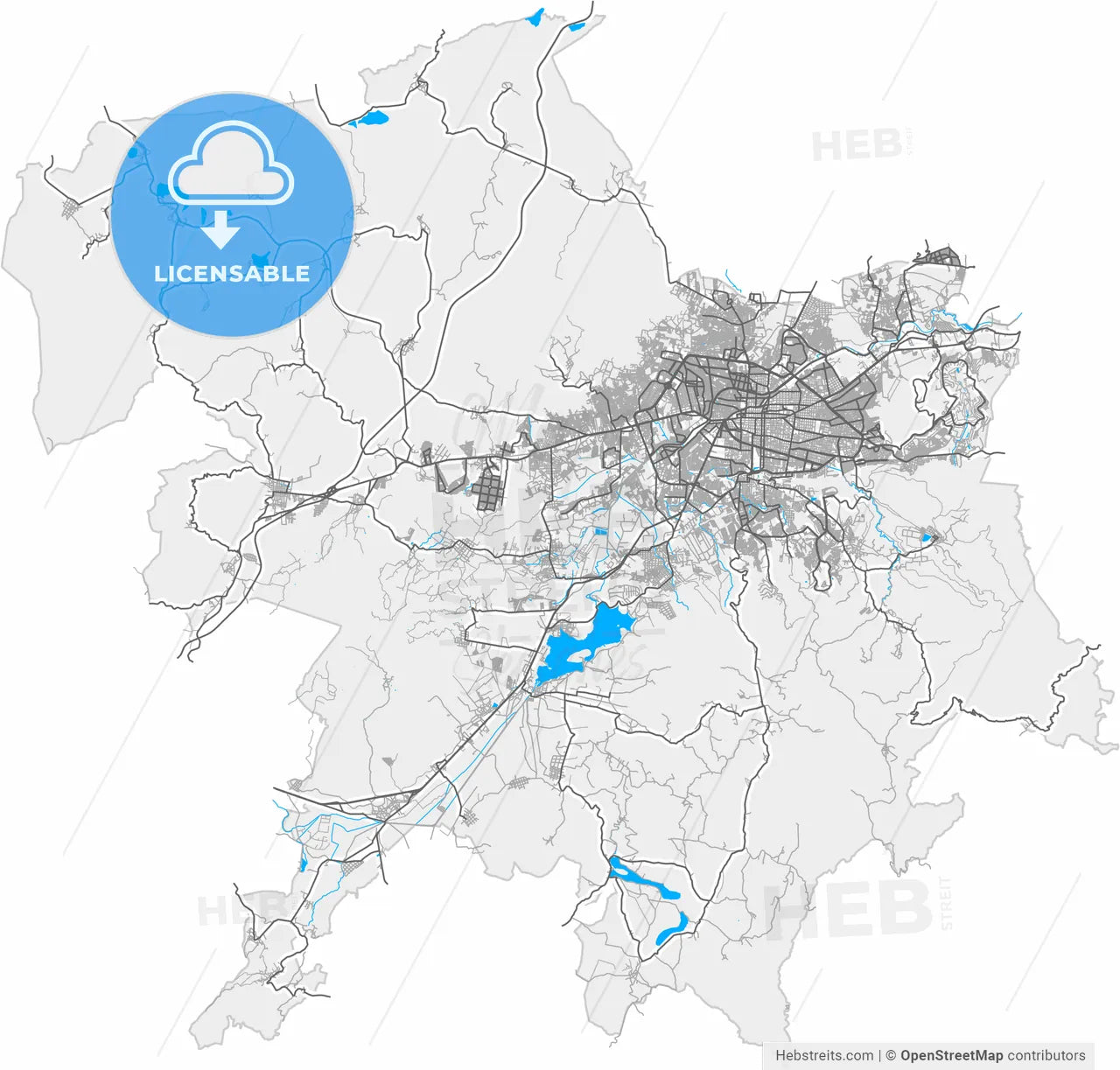Morelia, Michoacán, Mexico, high resolution vector map - Instant download PDF and JPG