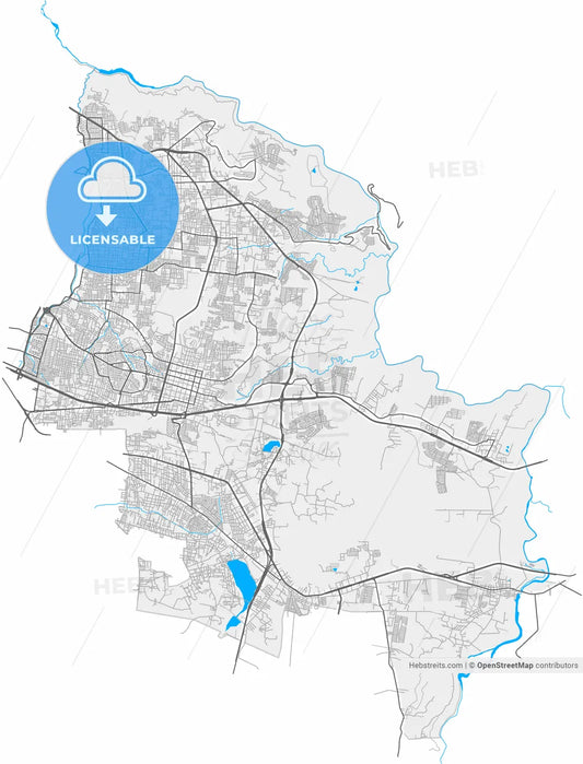 Tonalá, Jalisco, Mexico, high resolution vector map - Instant download PDF and JPG