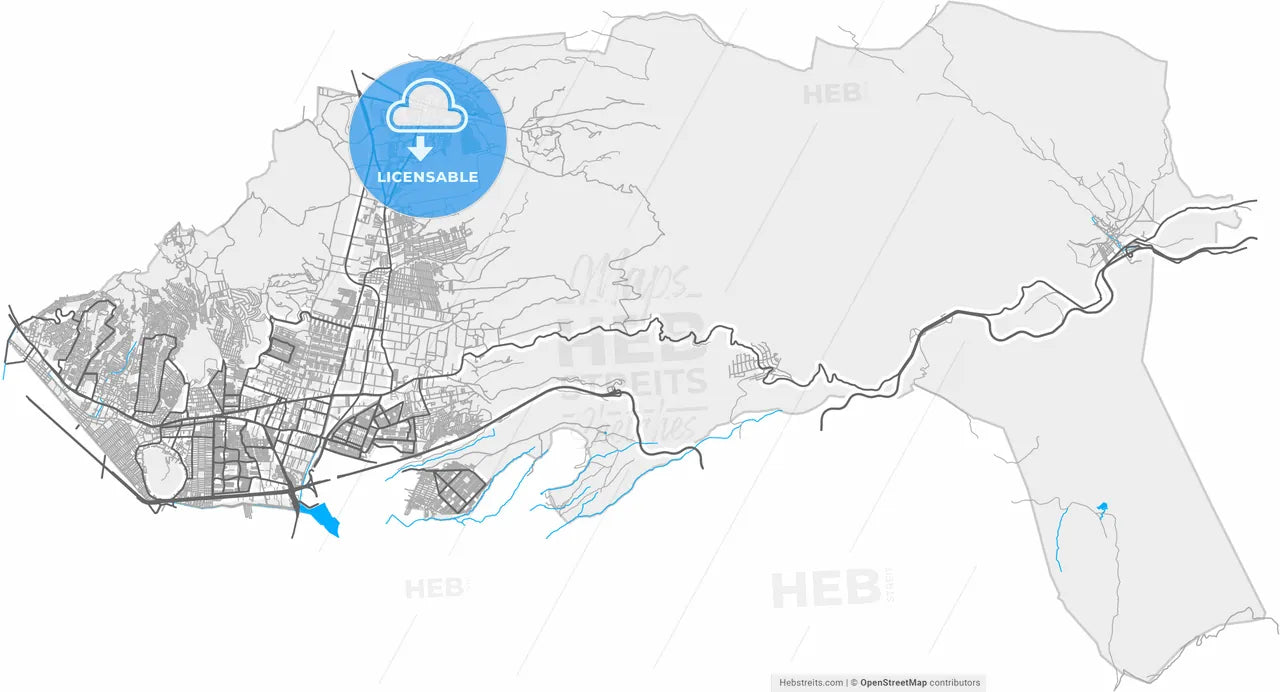 Ixtapaluca, México, Mexico, high resolution vector map - Instant download PDF and JPG