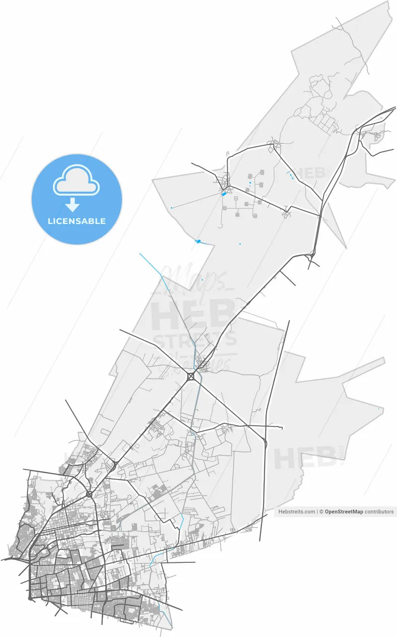 Soledad de Graciano Sánchez, San Luis Potosí, Mexico, high resolution vector map - Instant download PDF and JPG