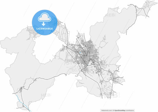 Tehuacán, Puebla, Mexico, high resolution vector map - Instant download PDF and JPG