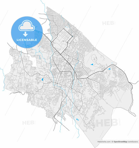 Jiutepec, Morelos, Mexico, high resolution vector map - Instant download PDF and JPG