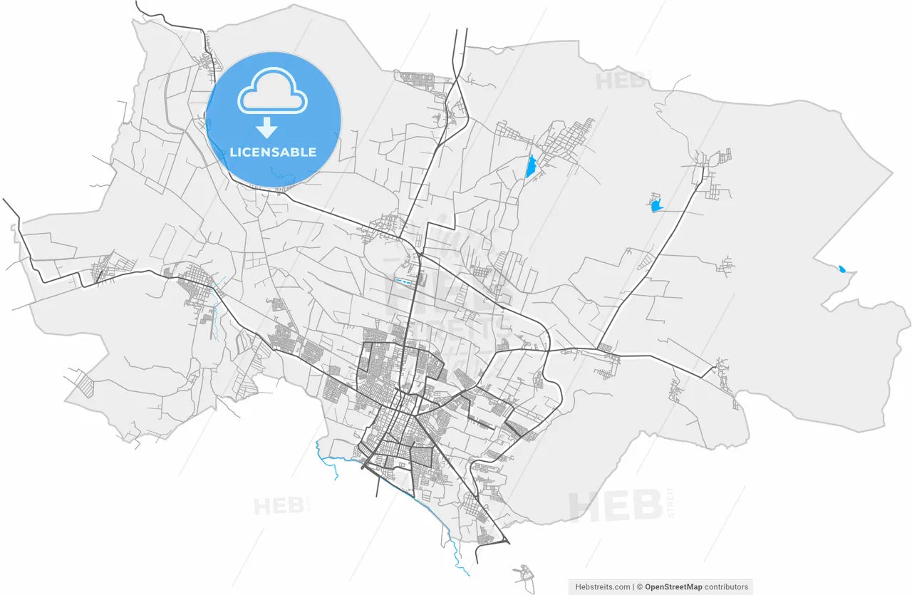 Zamora, Michoacán, Mexico, high resolution vector map - Instant download PDF and JPG