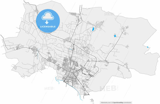 Zamora, Michoacán, Mexico, high resolution vector map - Instant download PDF and JPG