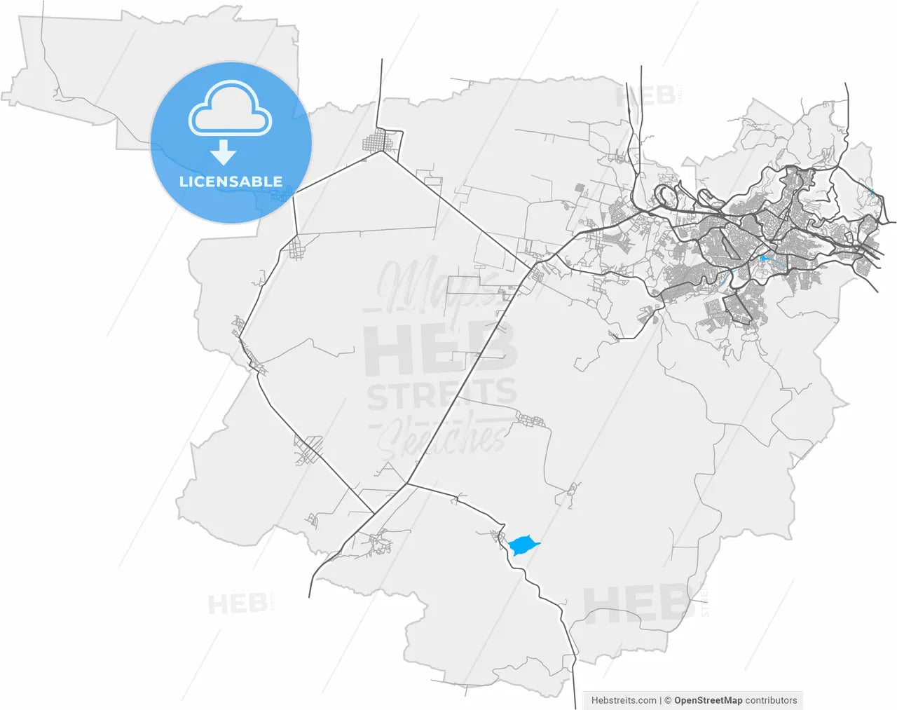 Zacatecas, Zacatecas, Mexico, high resolution vector map - Instant download PDF and JPG