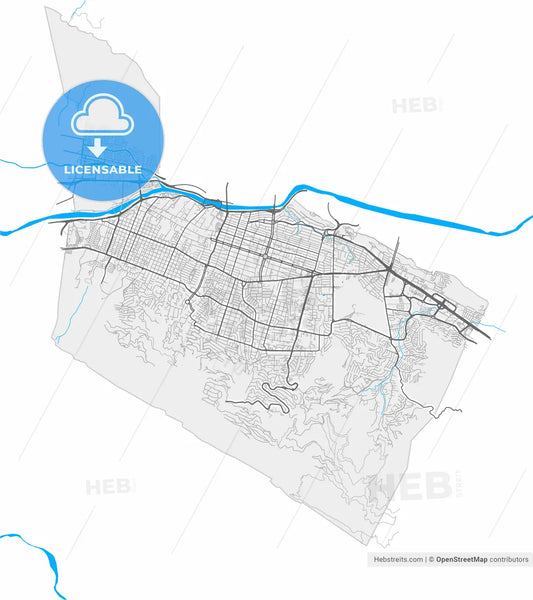 San Pedro Garza García, Nuevo León, Mexico, high resolution vector map - Instant download PDF and JPG