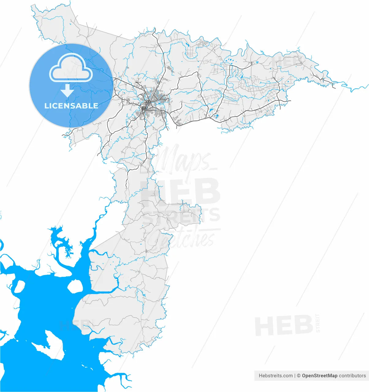 Santiago, Veraguas, Panama, high resolution vector map - Instant download PDF and JPG