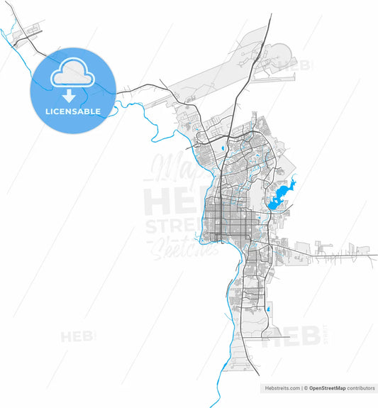 Laredo, Texas, United States, high resolution vector map - Instant download PDF and JPG