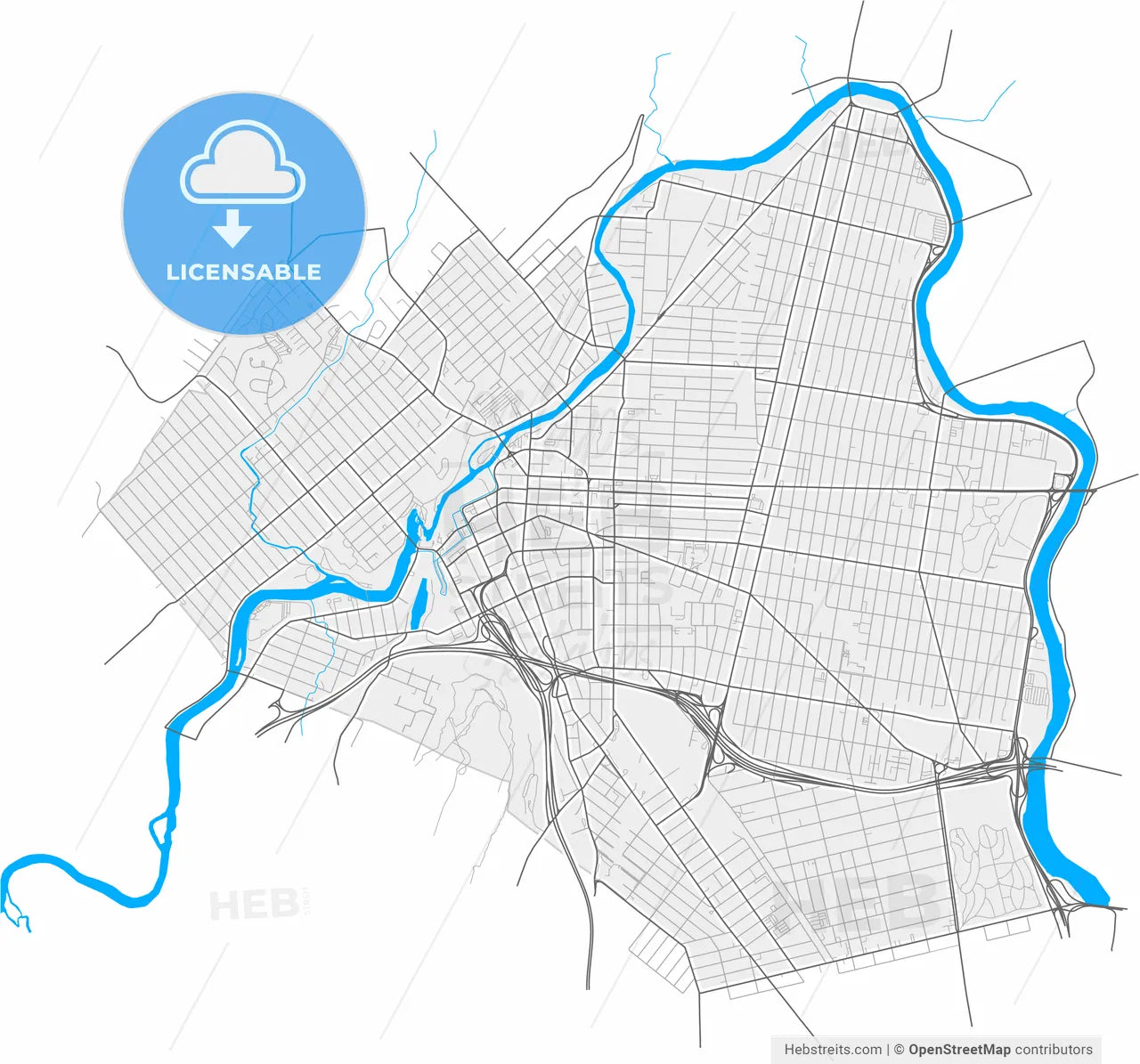 Paterson, New Jersey, United States, high resolution vector map - Instant download PDF and JPG