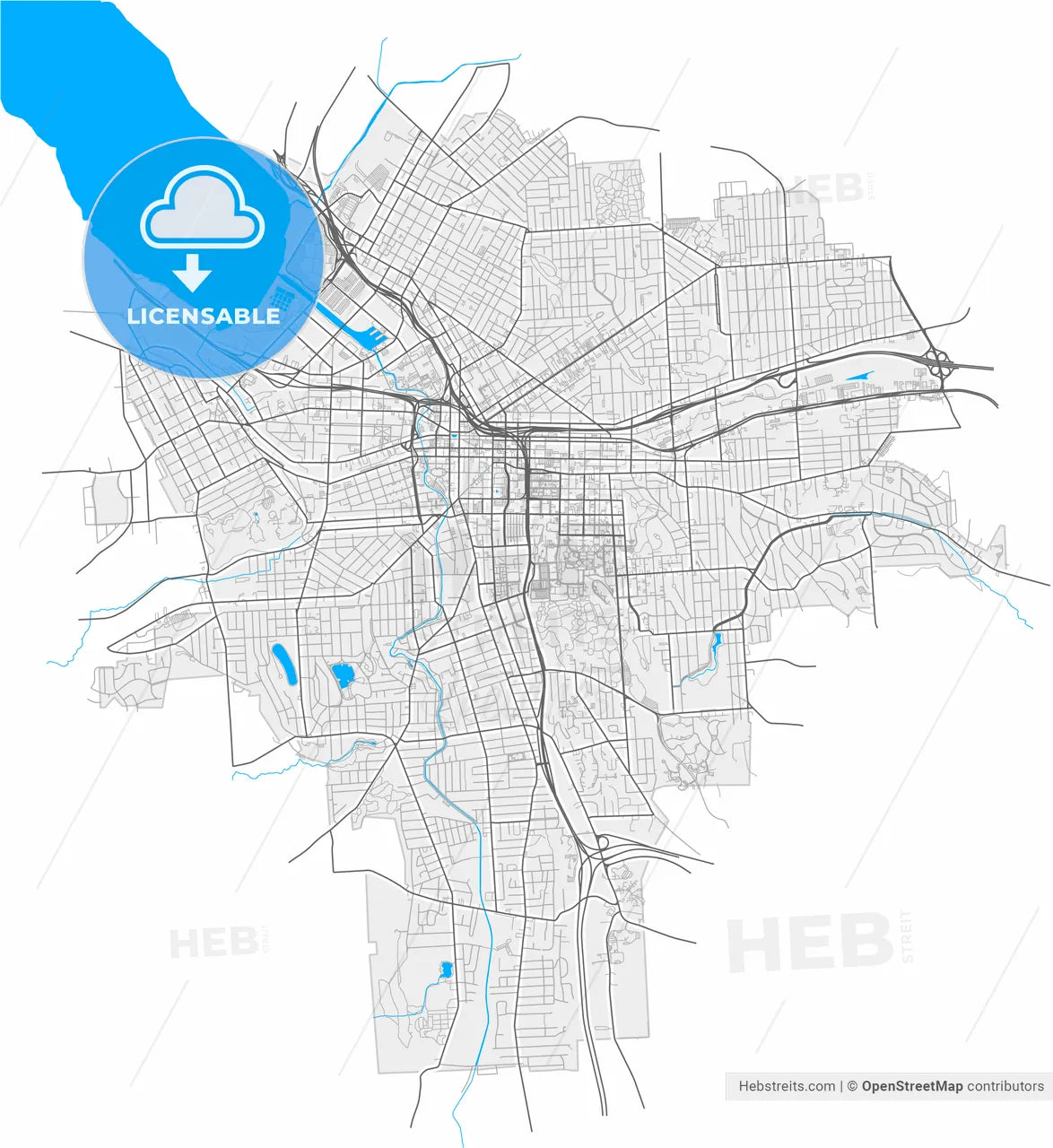 Syracuse, New York, United States, high resolution vector map - Instant download PDF and JPG