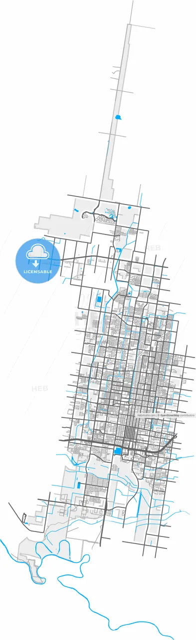 McAllen, Texas, United States, high resolution vector map - Instant download PDF and JPG