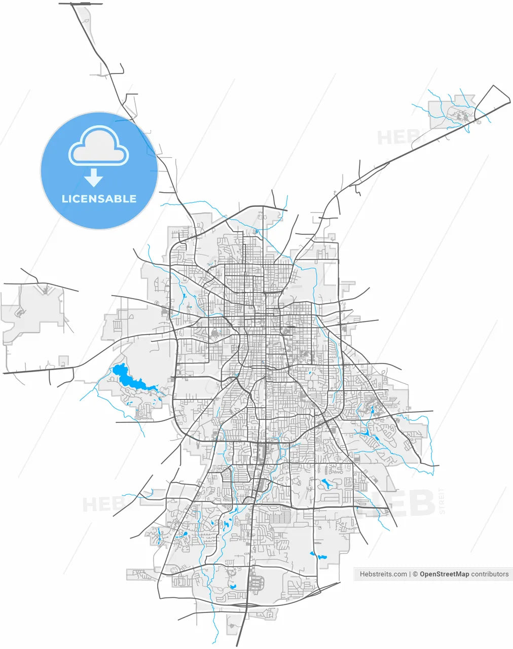 Tyler, Texas, United States, high resolution vector map - Instant download PDF and JPG