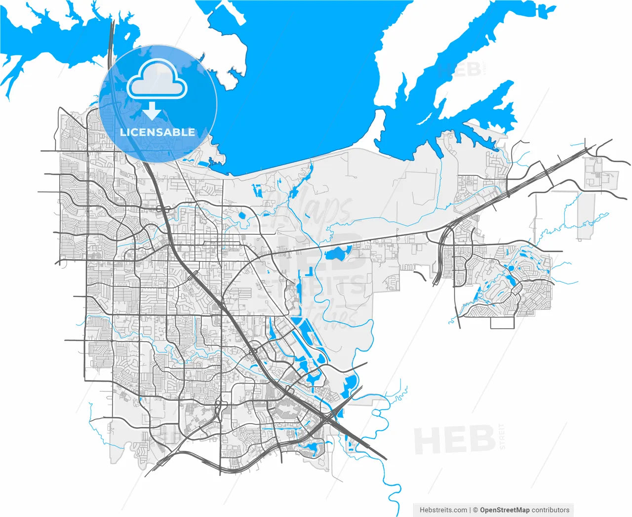Lewisville, Texas, United States, high resolution vector map - Instant download PDF and JPG