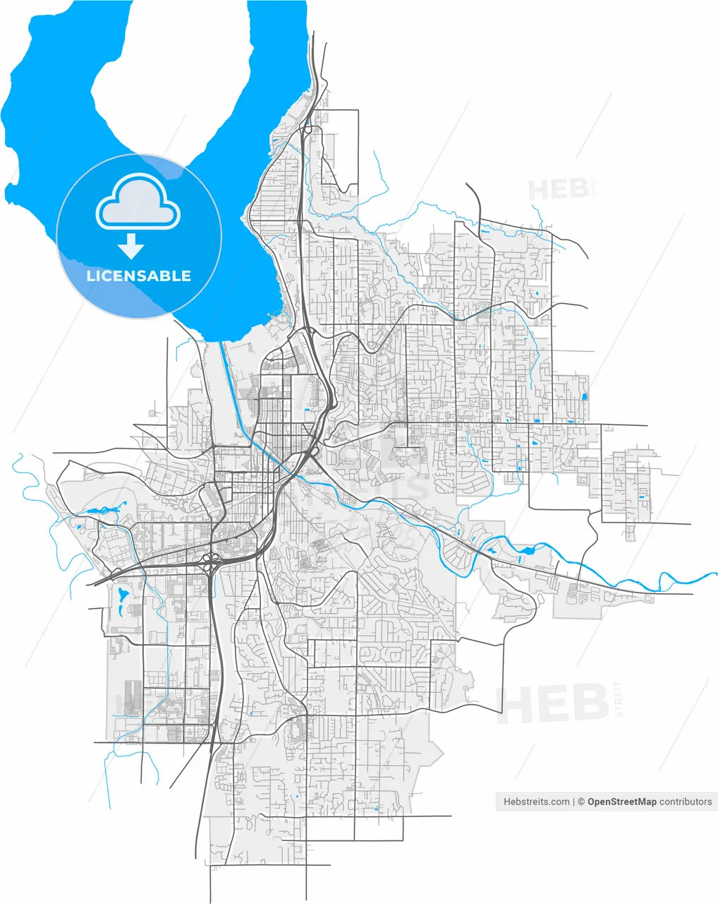 Renton, Washington, United States, high resolution vector map - Instant download PDF and JPG