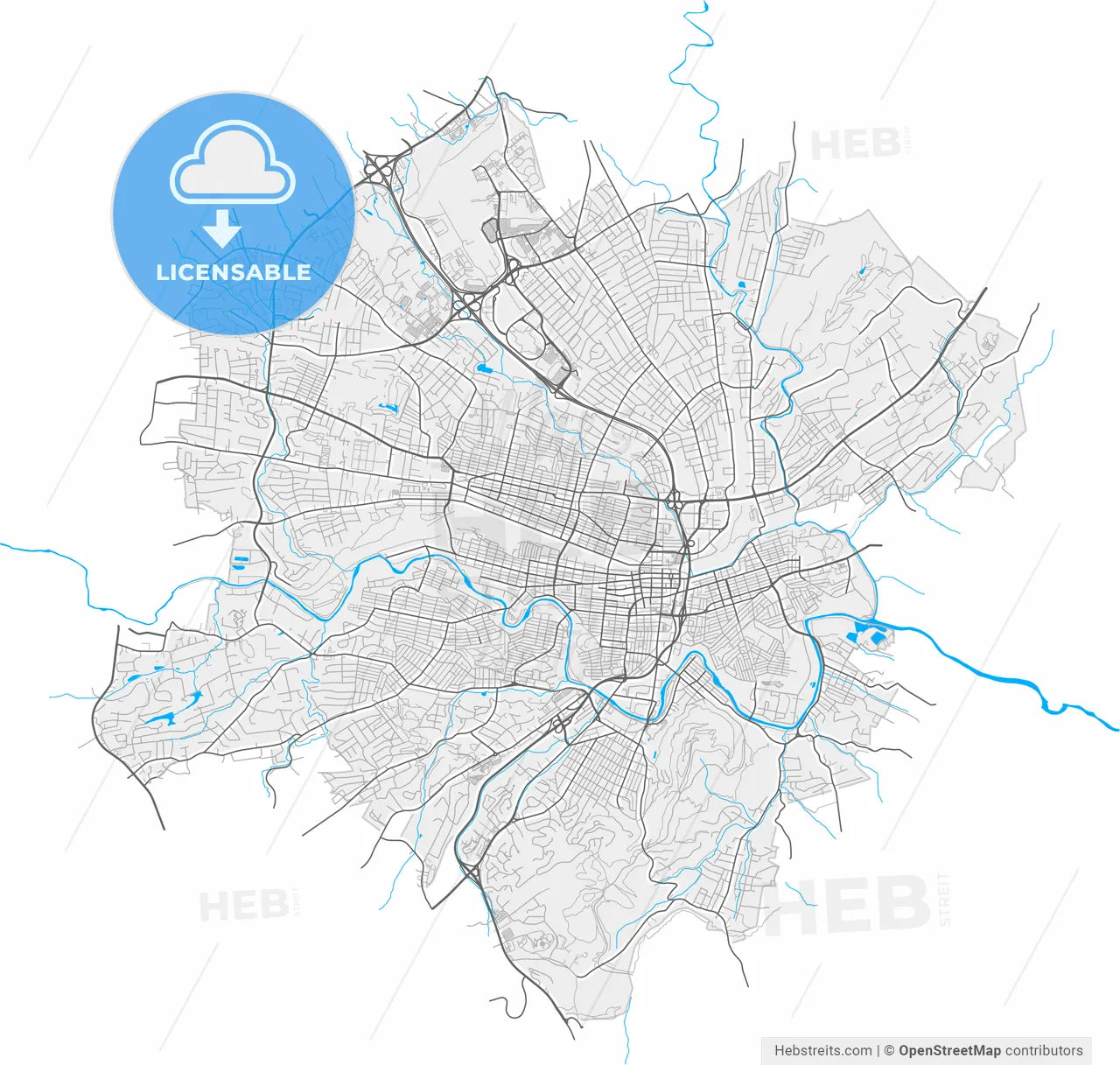 Roanoke, Virginia, United States, high resolution vector map - Instant download PDF and JPG
