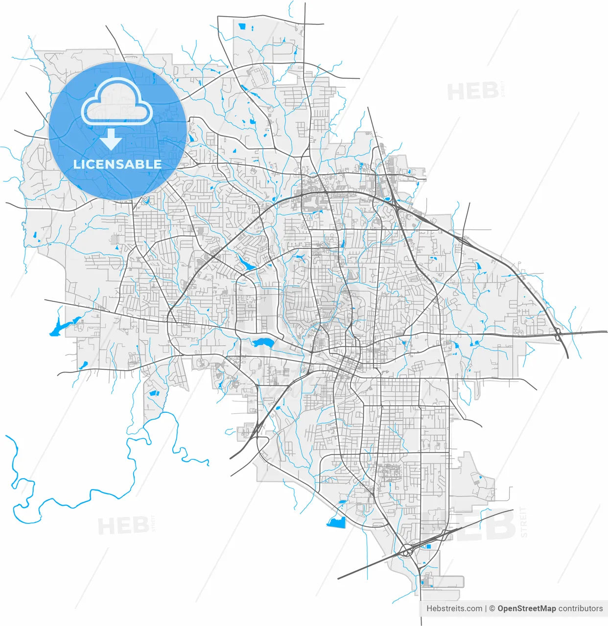 Longview, Texas, United States, high resolution vector map - Instant download PDF and JPG