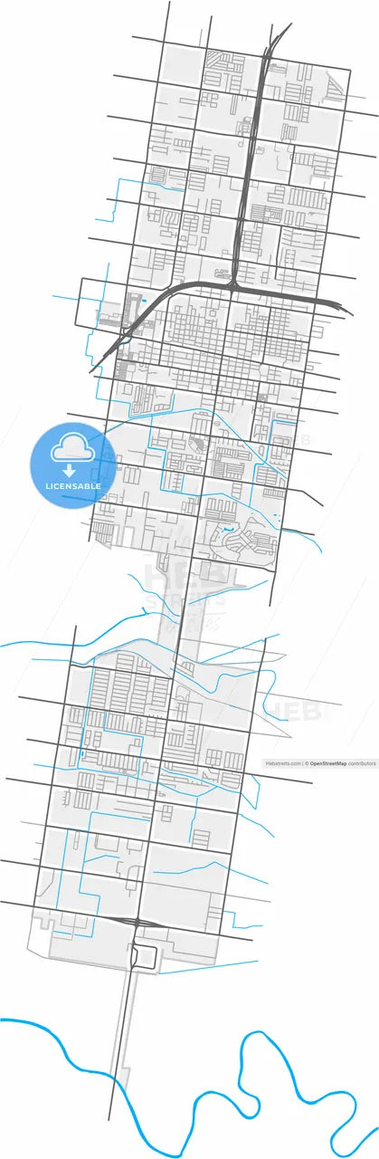 Pharr, Texas, United States, high resolution vector map - Instant download PDF and JPG