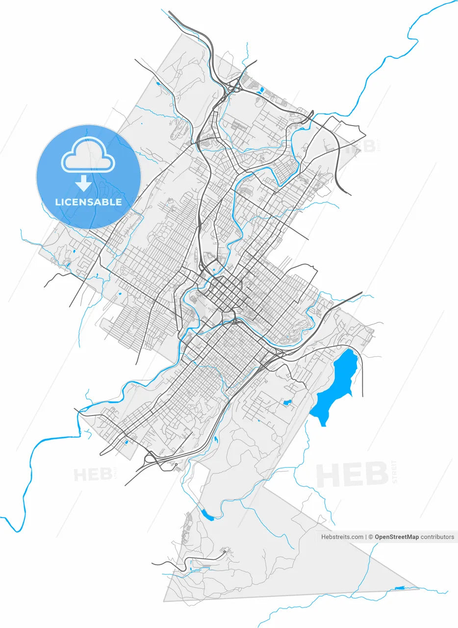 Scranton, Pennsylvania, United States, high resolution vector map - Instant download PDF and JPG