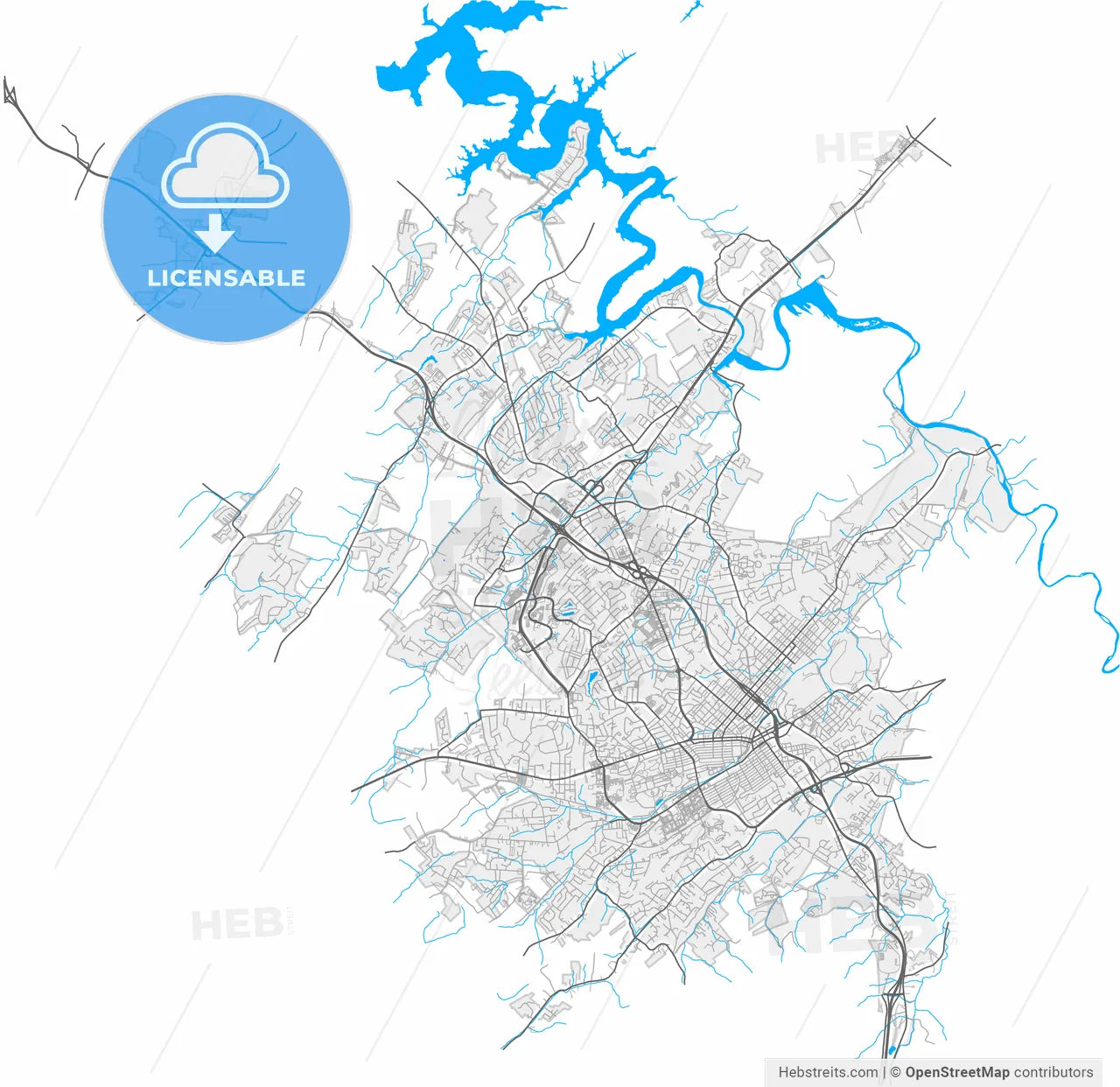 Johnson City, Tennessee, United States, high resolution vector map - Instant download PDF and JPG