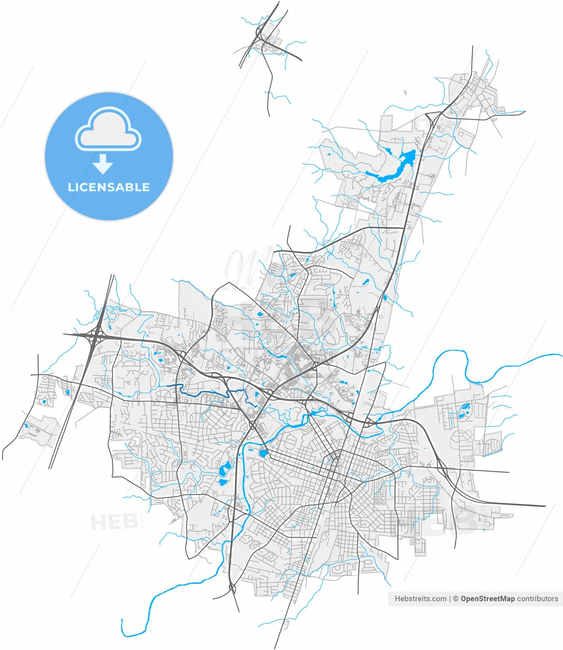 Rocky Mount, North Carolina, United States, high resolution vector map - Instant download PDF and JPG
