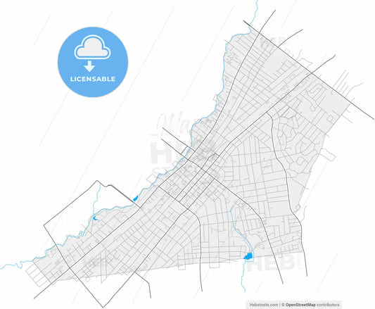 Plainfield, New Jersey, United States, high resolution vector map - Instant download PDF and JPG