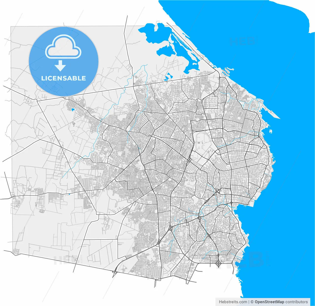 Maracaibo, Venezuela, high resolution vector map - Instant download PDF and JPG