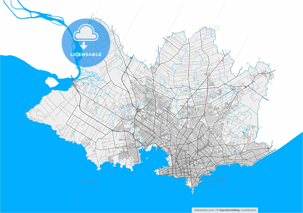 Montevideo, Uruguay, high resolution vector map - Instant download PDF and JPG
