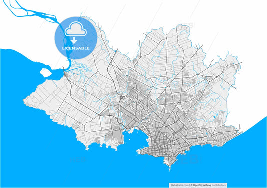 Montevideo, Uruguay, high resolution vector map - Instant download PDF and JPG