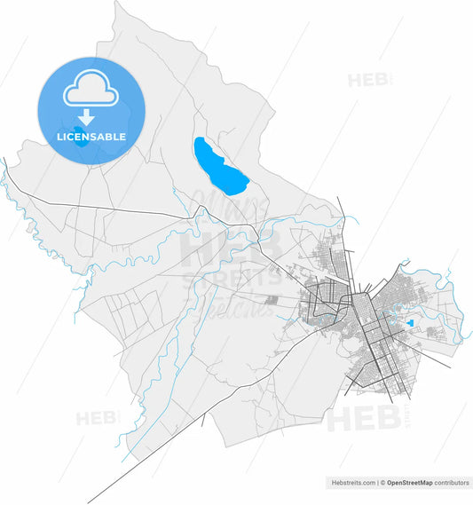 Juliaca, Peru, high resolution vector map - Instant download PDF and JPG
