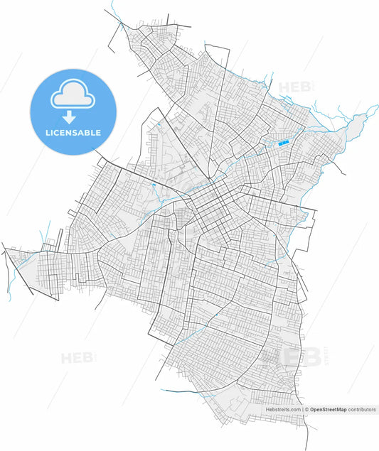 San Lorenzo, Paraguay, high resolution vector map - Instant download PDF and JPG
