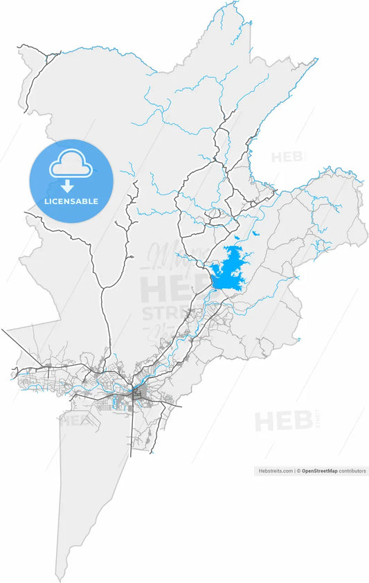 Sullana, Peru, high resolution vector map - Instant download PDF and JPG
