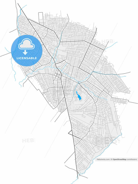 Nemby, Paraguay, high resolution vector map - Instant download PDF and JPG