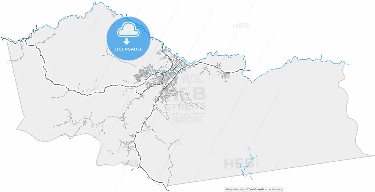 San Juan de los Morros, Venezuela, high resolution vector map - Instant download PDF and JPG