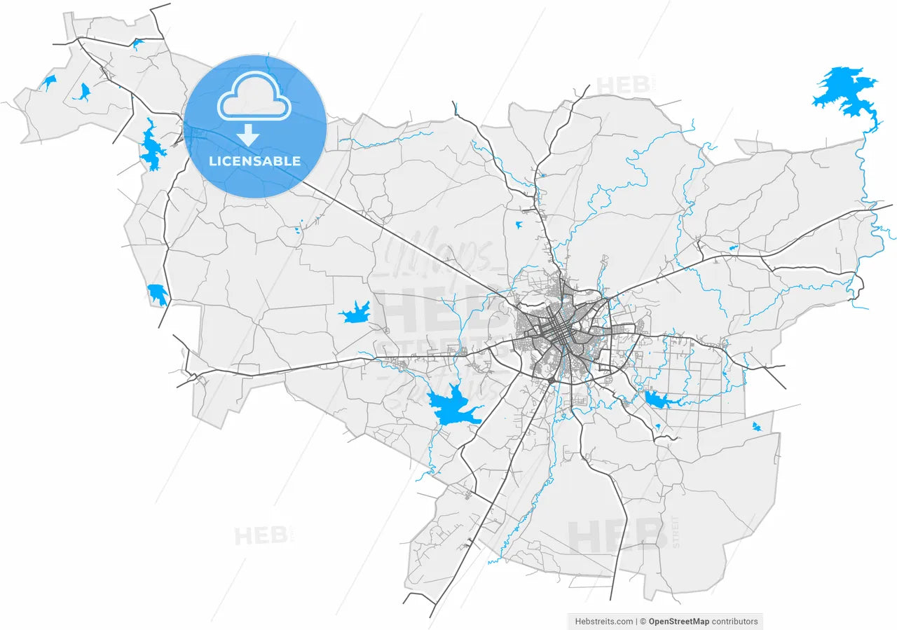 Holguín, Holguín, Cuba, high resolution vector map - Instant download PDF and JPG