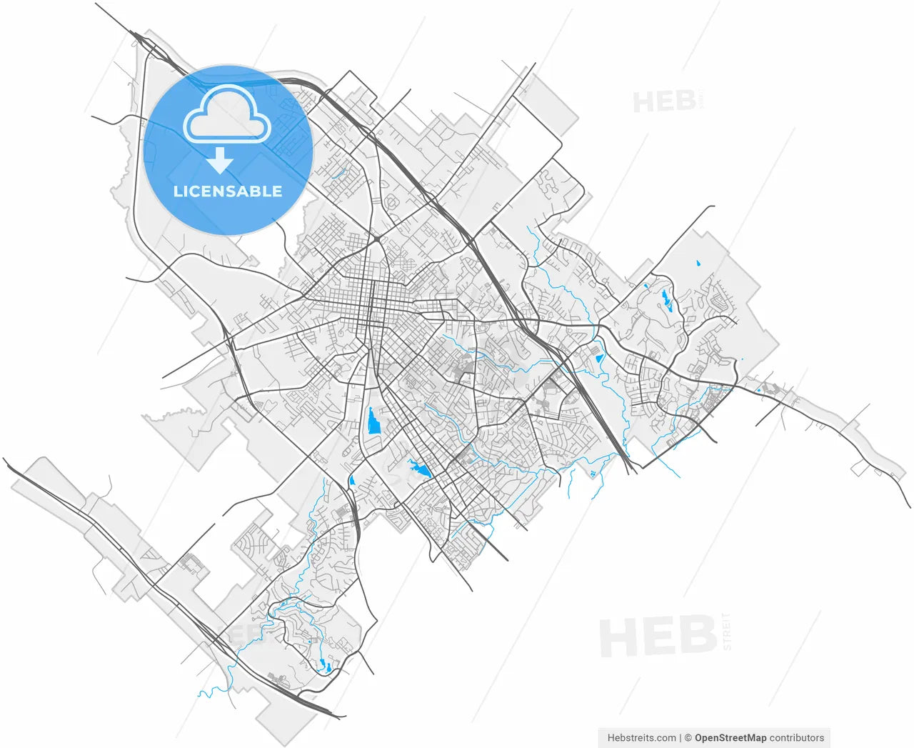 Bryan, Texas, United States, high resolution vector map - Instant download PDF and JPG