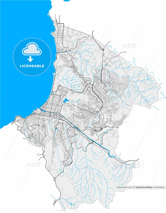 Vina del Mar, Chile, high resolution vector map - Instant download PDF and JPG