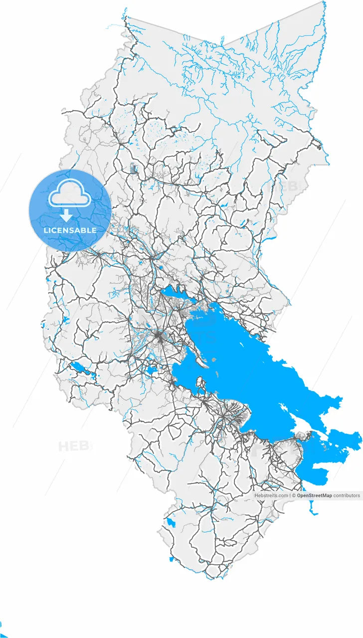 Puno, Peru, high resolution vector map - Instant download PDF and JPG