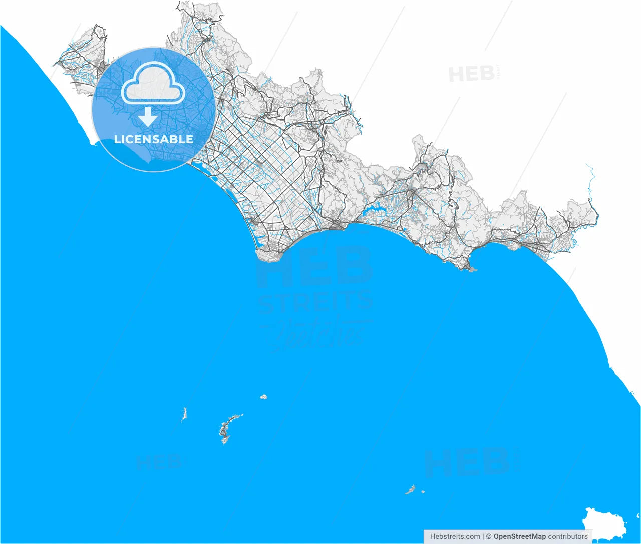 Latina, Lazio, Italy, high resolution vector map - Instant download PDF and JPG