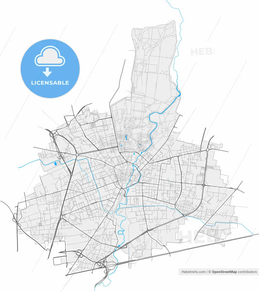 Monza, Lombardy, Italy, high resolution vector map - Instant download PDF and JPG